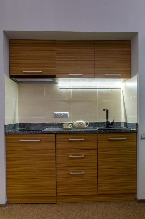 Pushkinskaya Apartments Charków Zewnętrze zdjęcie
